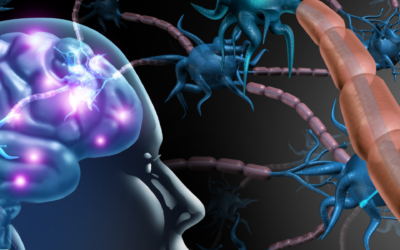 Brain Health and Aging